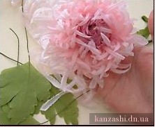 хризантема канзаши